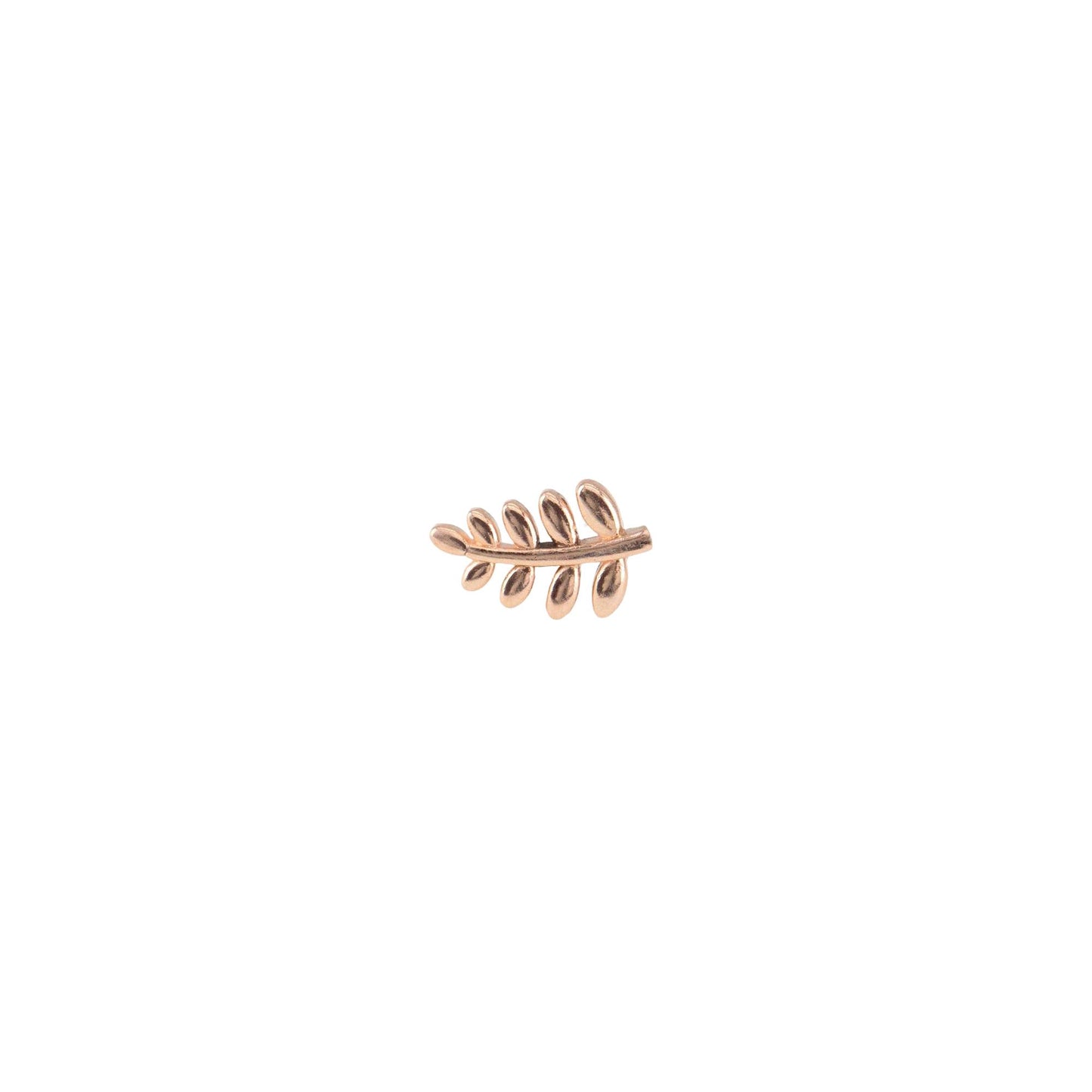 Right Curved Lil Fern