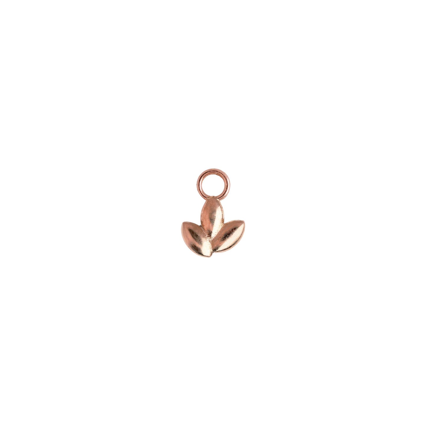 Charm - Spring