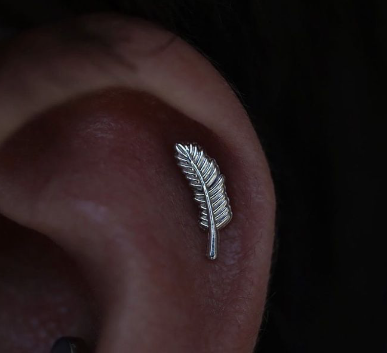 Left Curved Large Feather