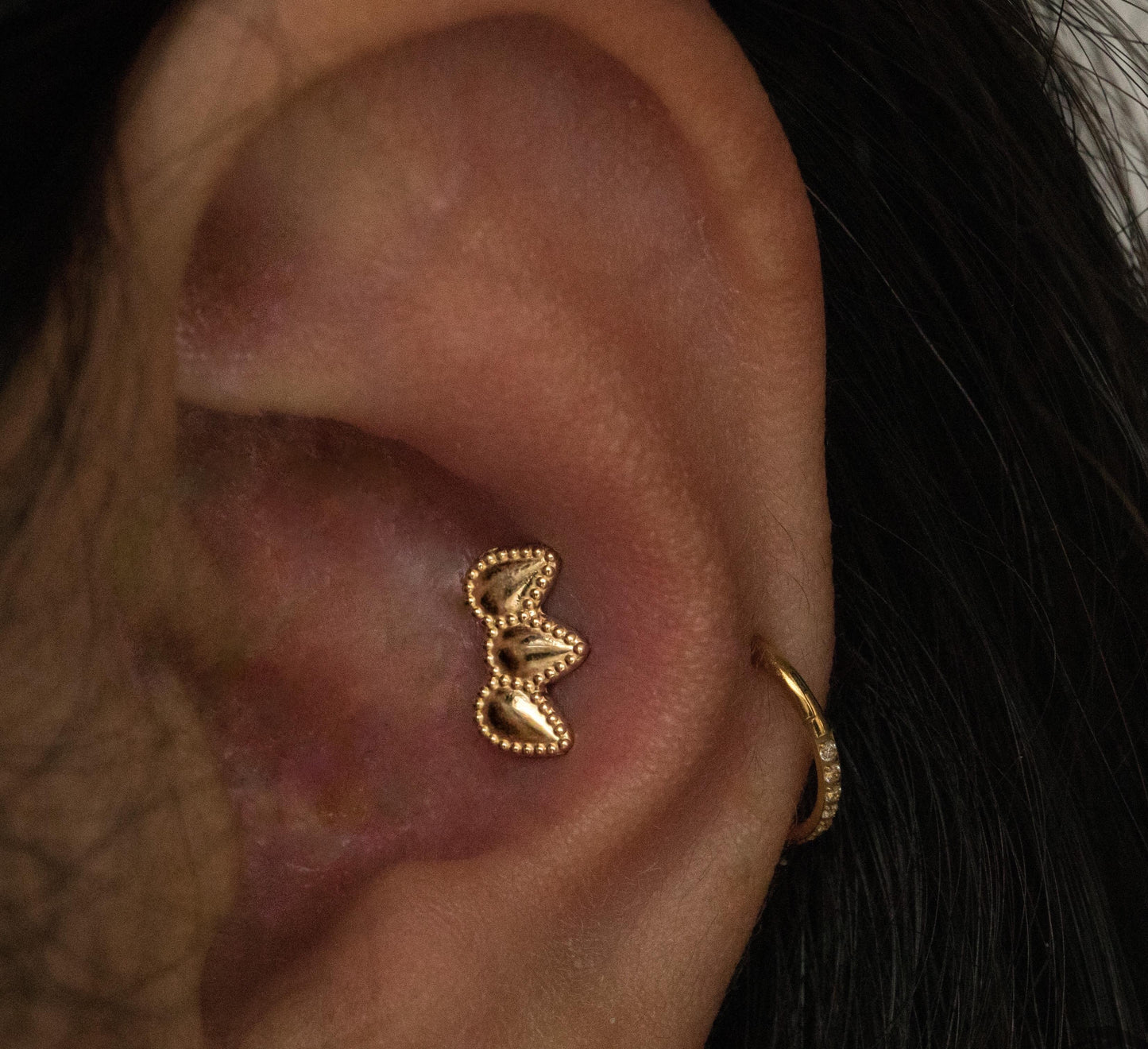 Holocene