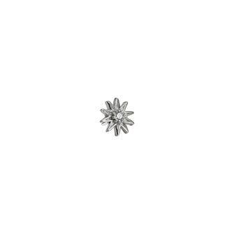 Decagram