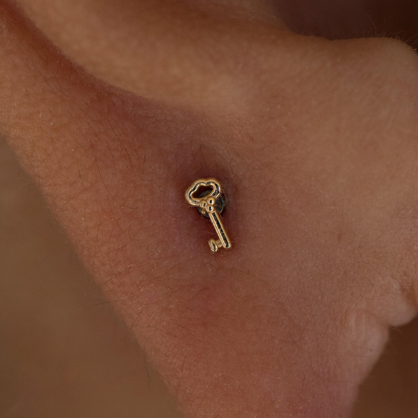 Skeleton Key