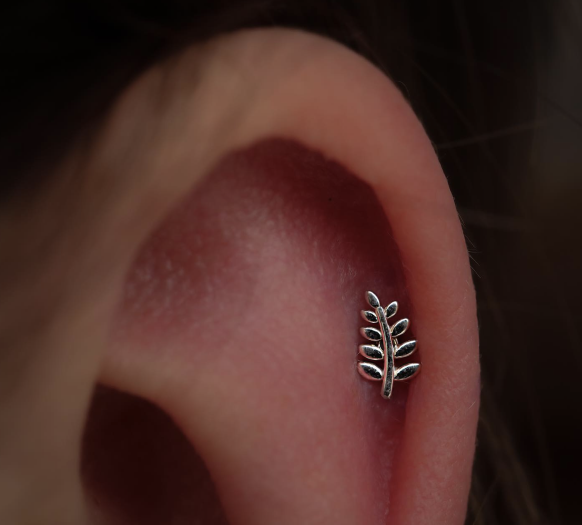 Left Curved Lil Fern