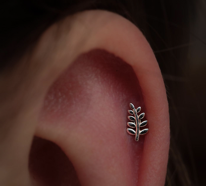 Left Curved Lil Fern
