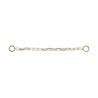 Paperclip Chain