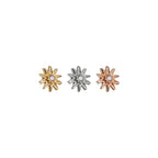 Decagram