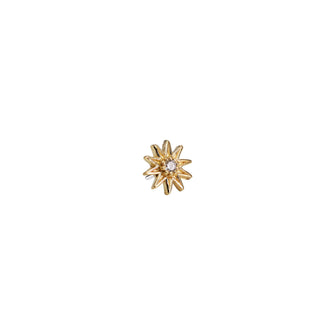 Decagram