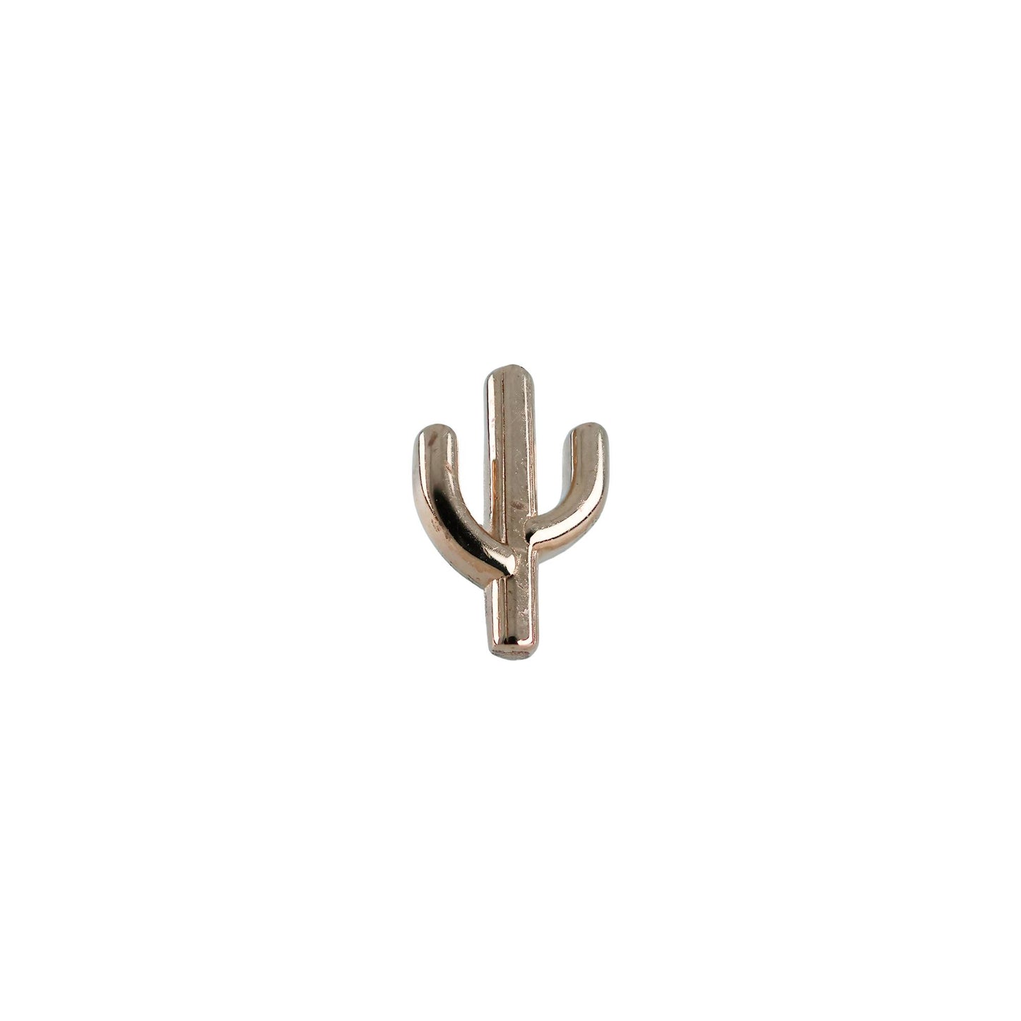 Large Cactus