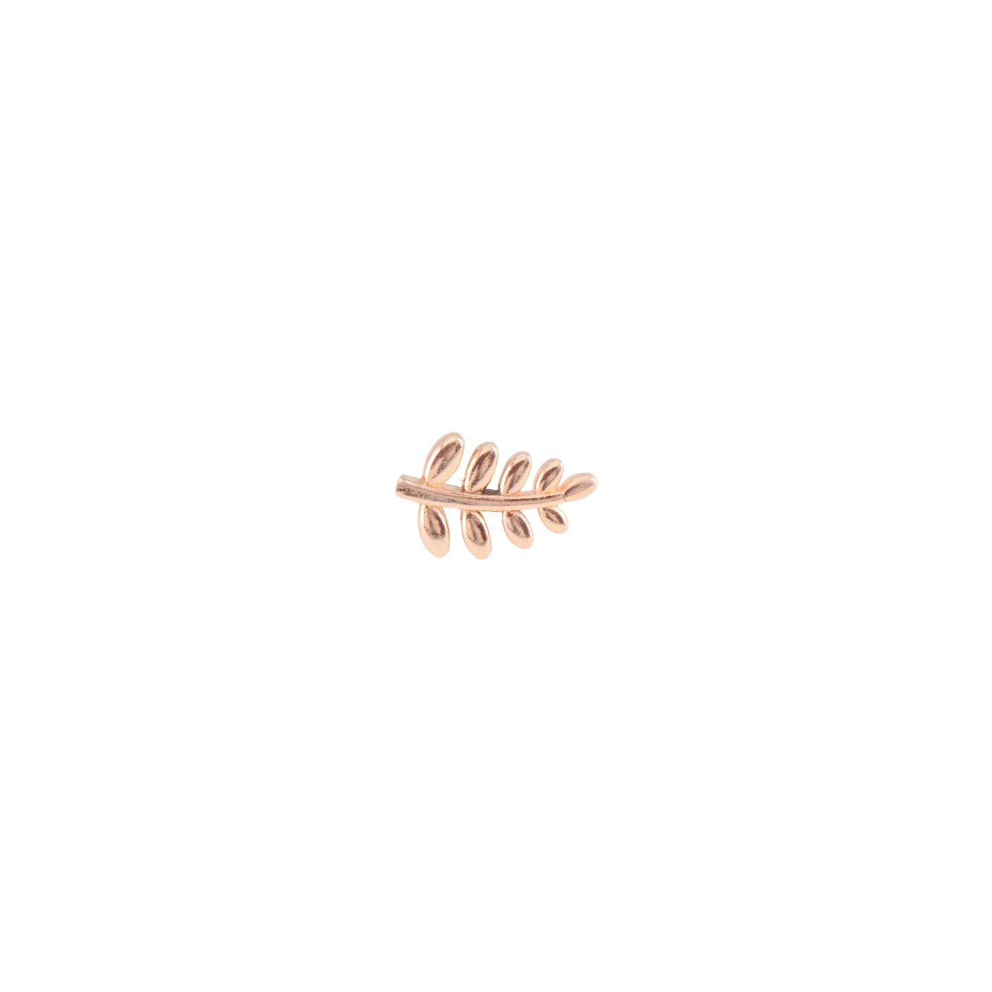 Left Curved Lil Fern