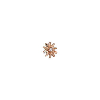 Decagram
