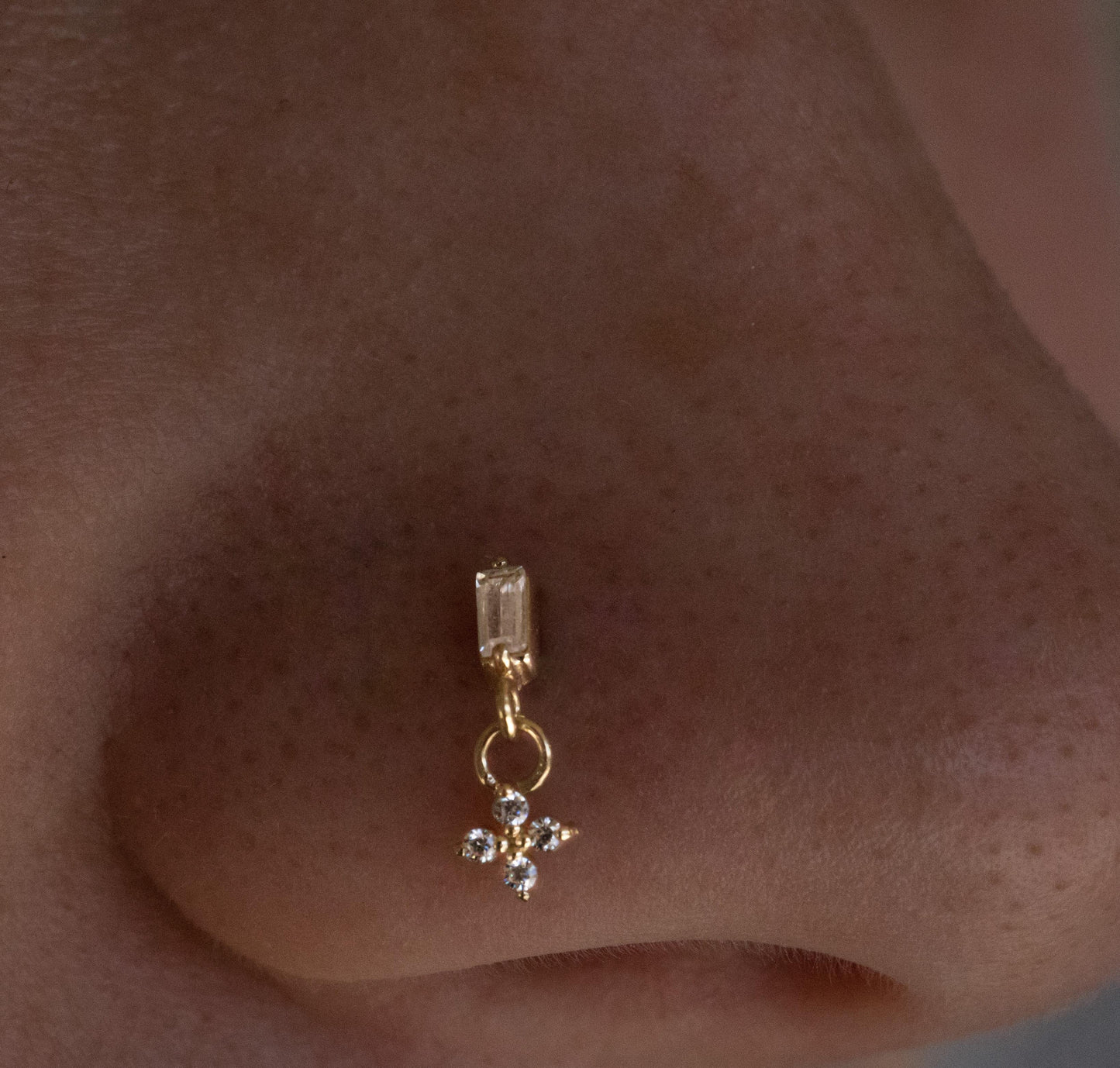 Rosa Dangle