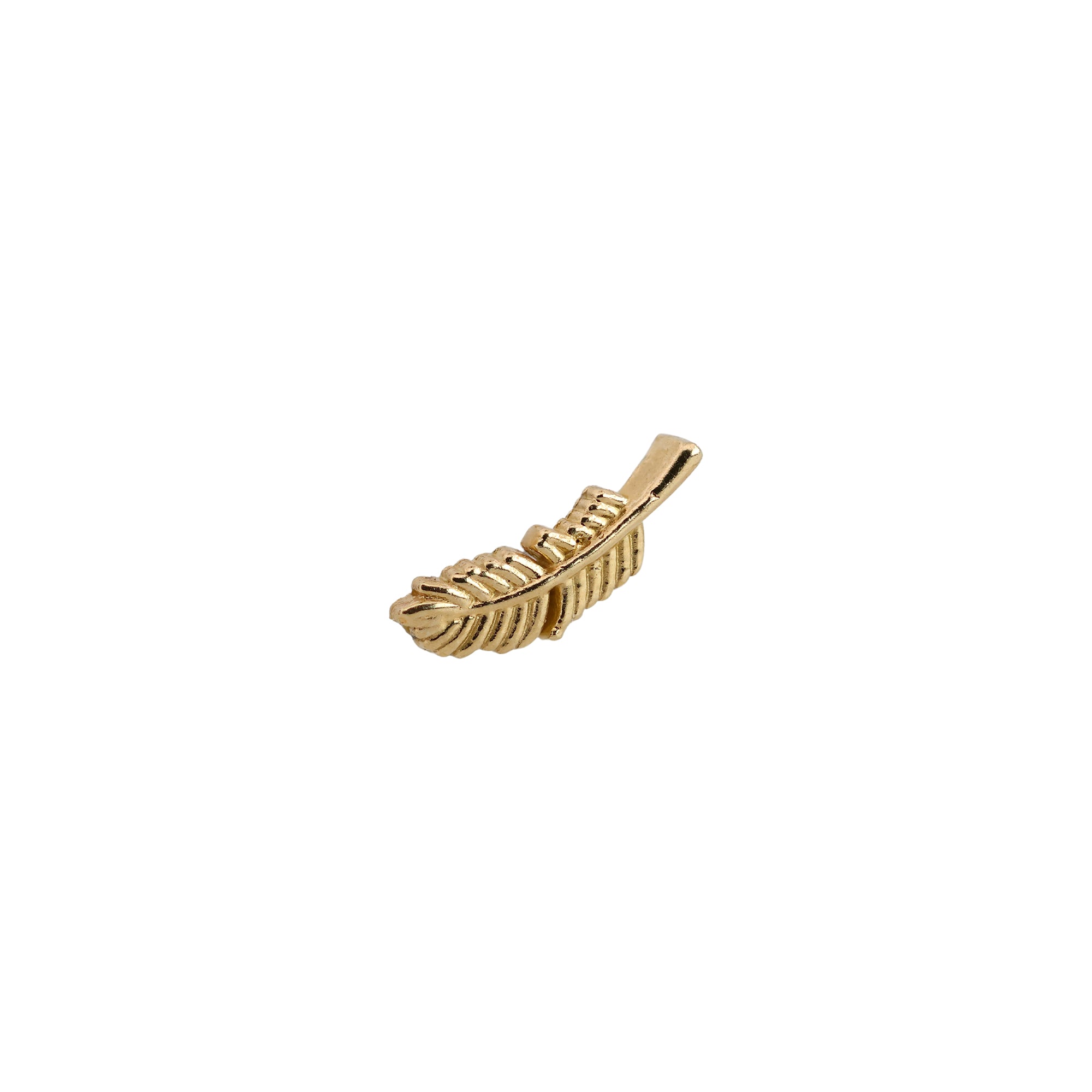 Right Curved Small Feather