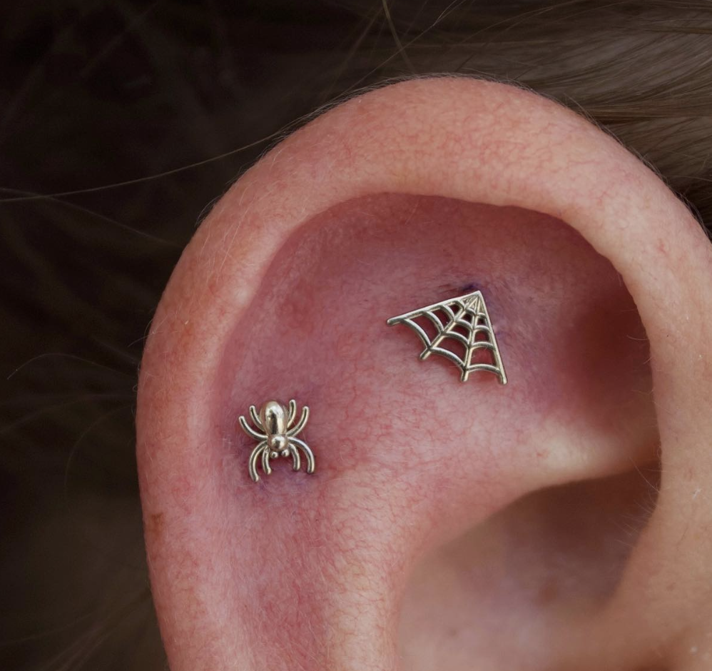 Spider