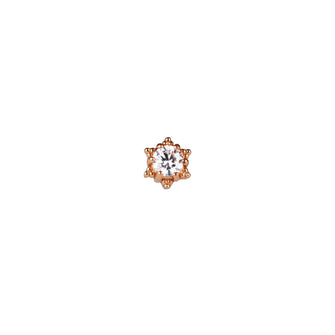 Star brite