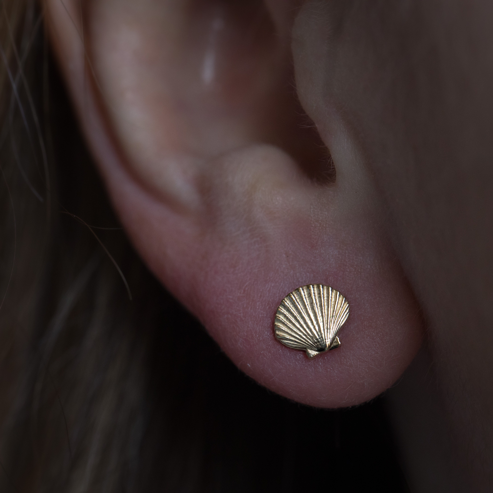 Shell